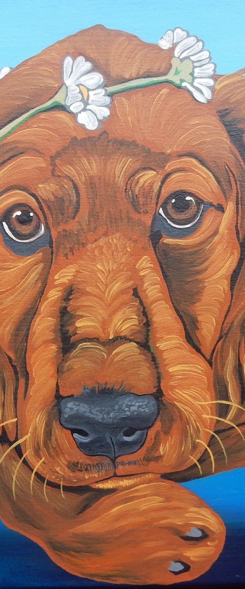 Irish Setter Puppy Dog by Carla Smale