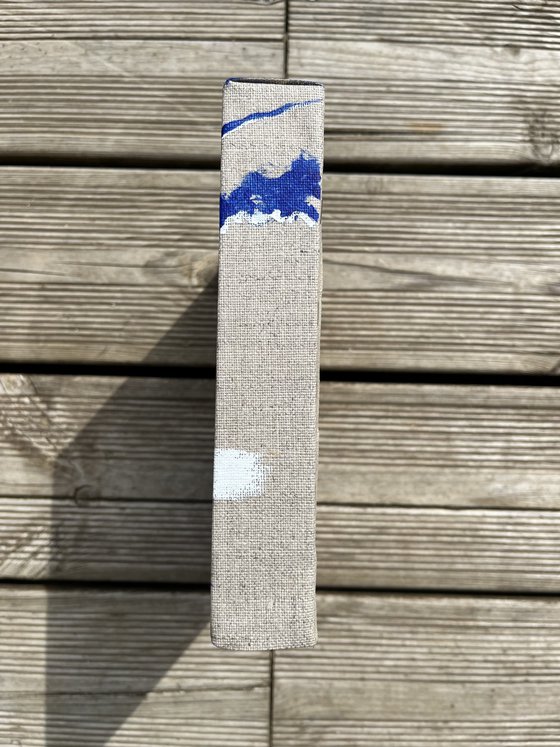 Cap Coz ultramarine 3D