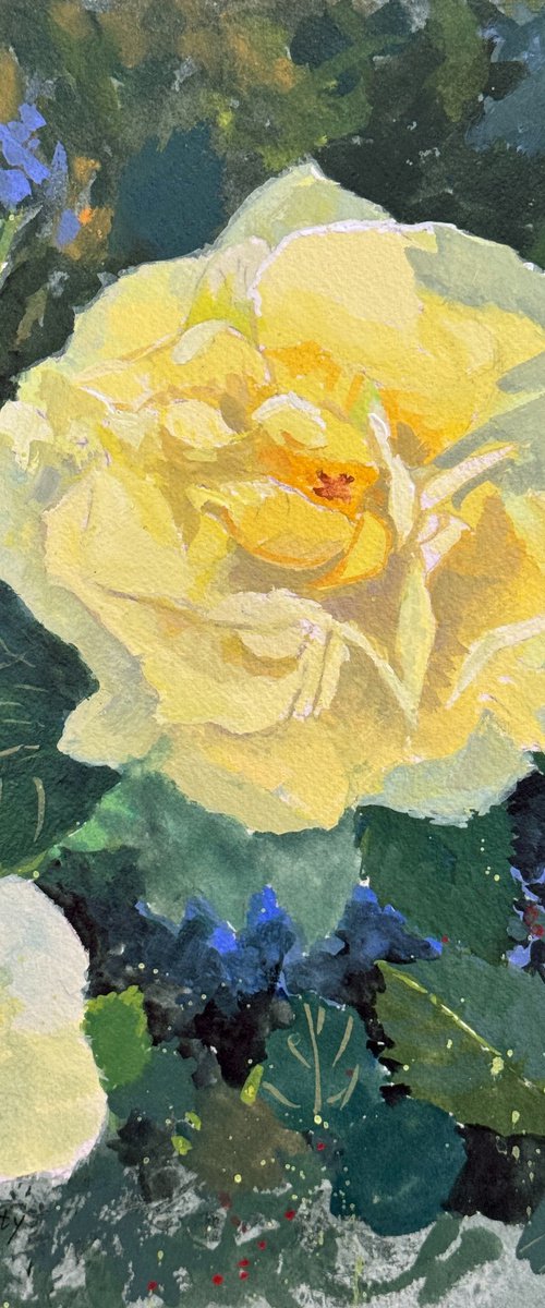 Yellow Rose by Tatyana Fogarty