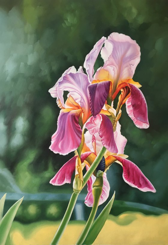 Realism oil painting:flowers t219