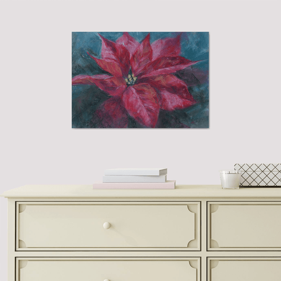 Red poinsettia flower