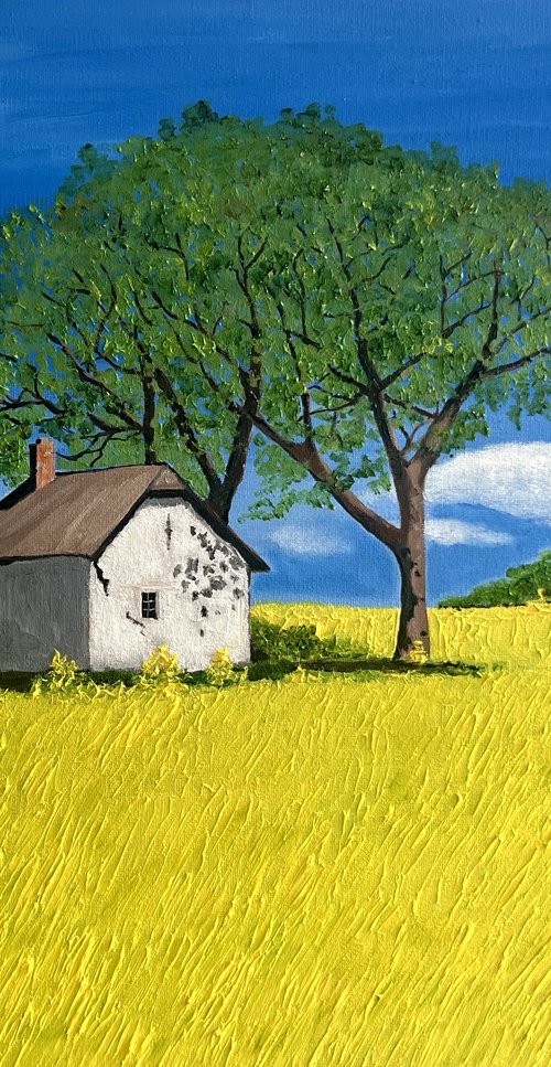 OLD COTTAGE  IN YELLOW FIELDS by MAGGIE  JUKES