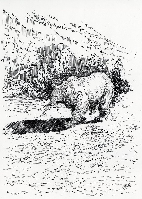 A Bear Fishing