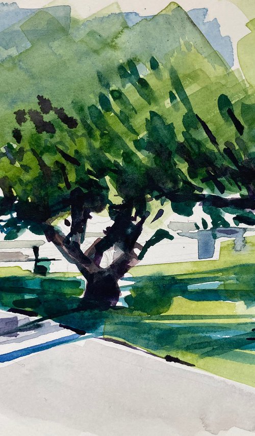 Orange Trees Lite, Villa Gioia by Paul Gurney