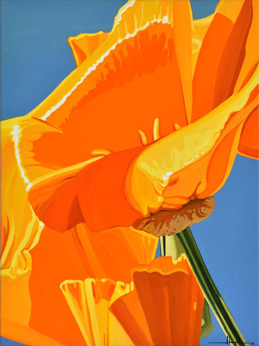 Urban And Pop Botanical Acrylic Painting By Alex Nizovsky, 18 X 24, Californian Poppy And Wind #1, Original Artwork