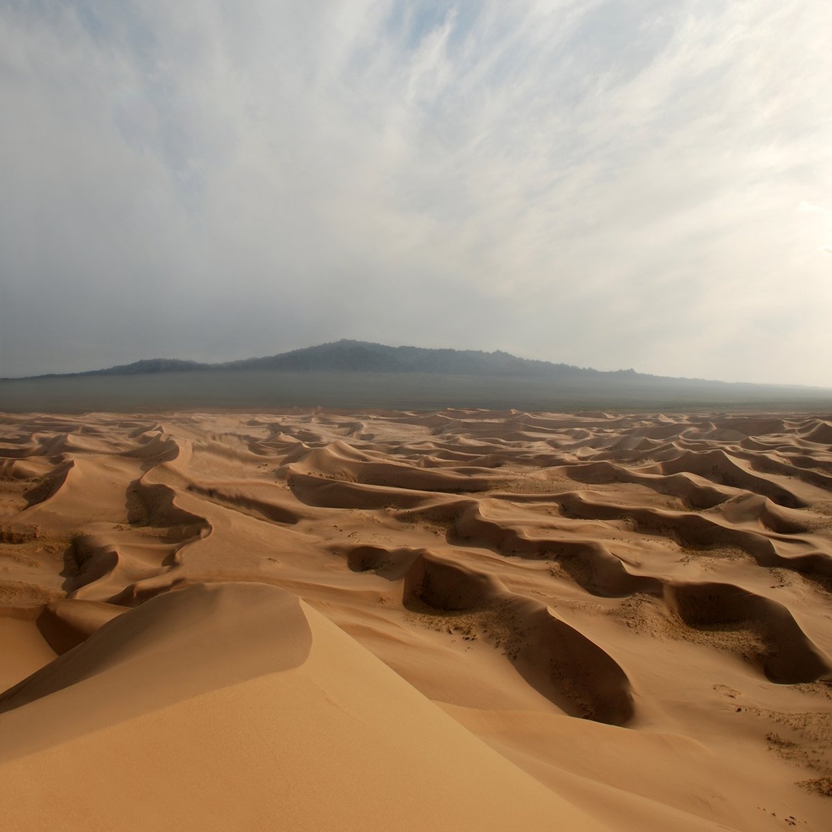 Gobi Desert - Mongolia by Jacek Falmur