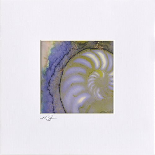 Nautilus Shell 3 by Kathy Morton Stanion