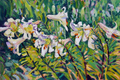 White Lilies (plein air) original painting by Dima Braga