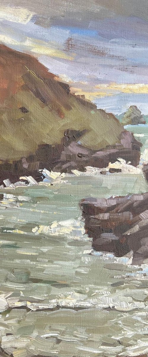 January in Boscastle by Louise Gillard