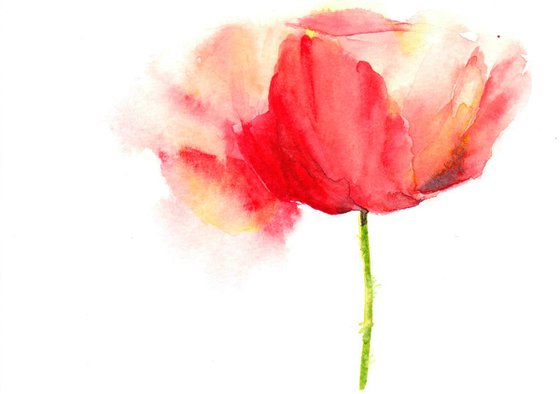 Poppy II, Original watercolour painting