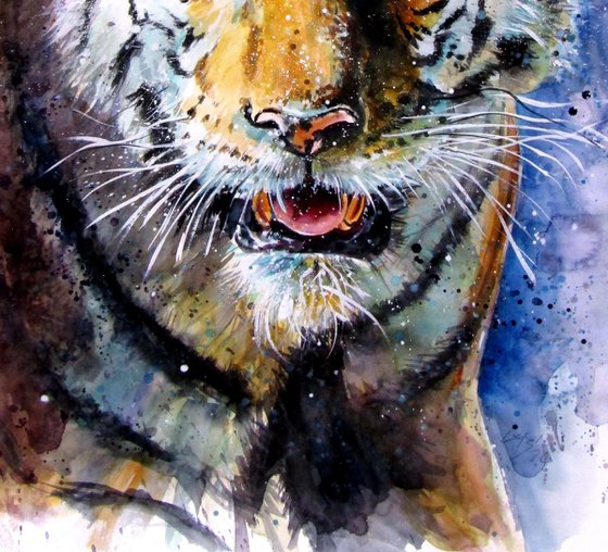 Collarwali Mataram II