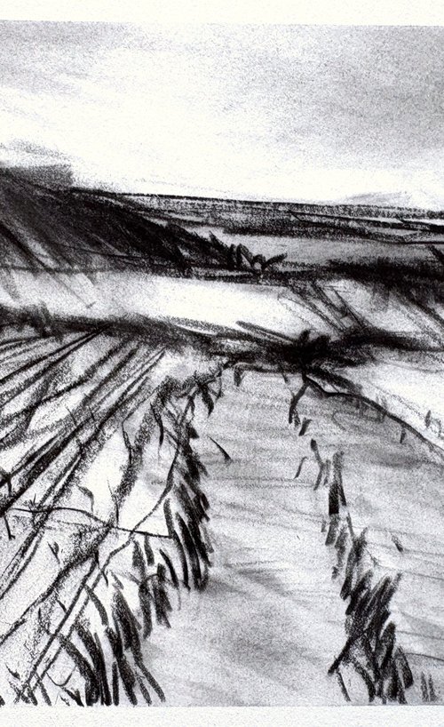 Pennsylvania Fields 3 by Steve Potts