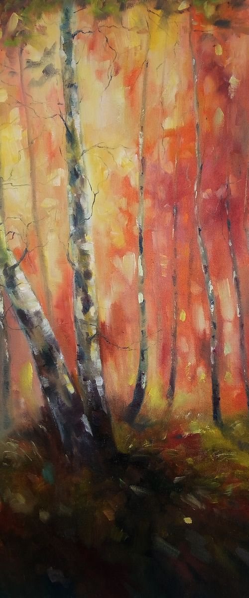 Birch trees by Artem Grunyka