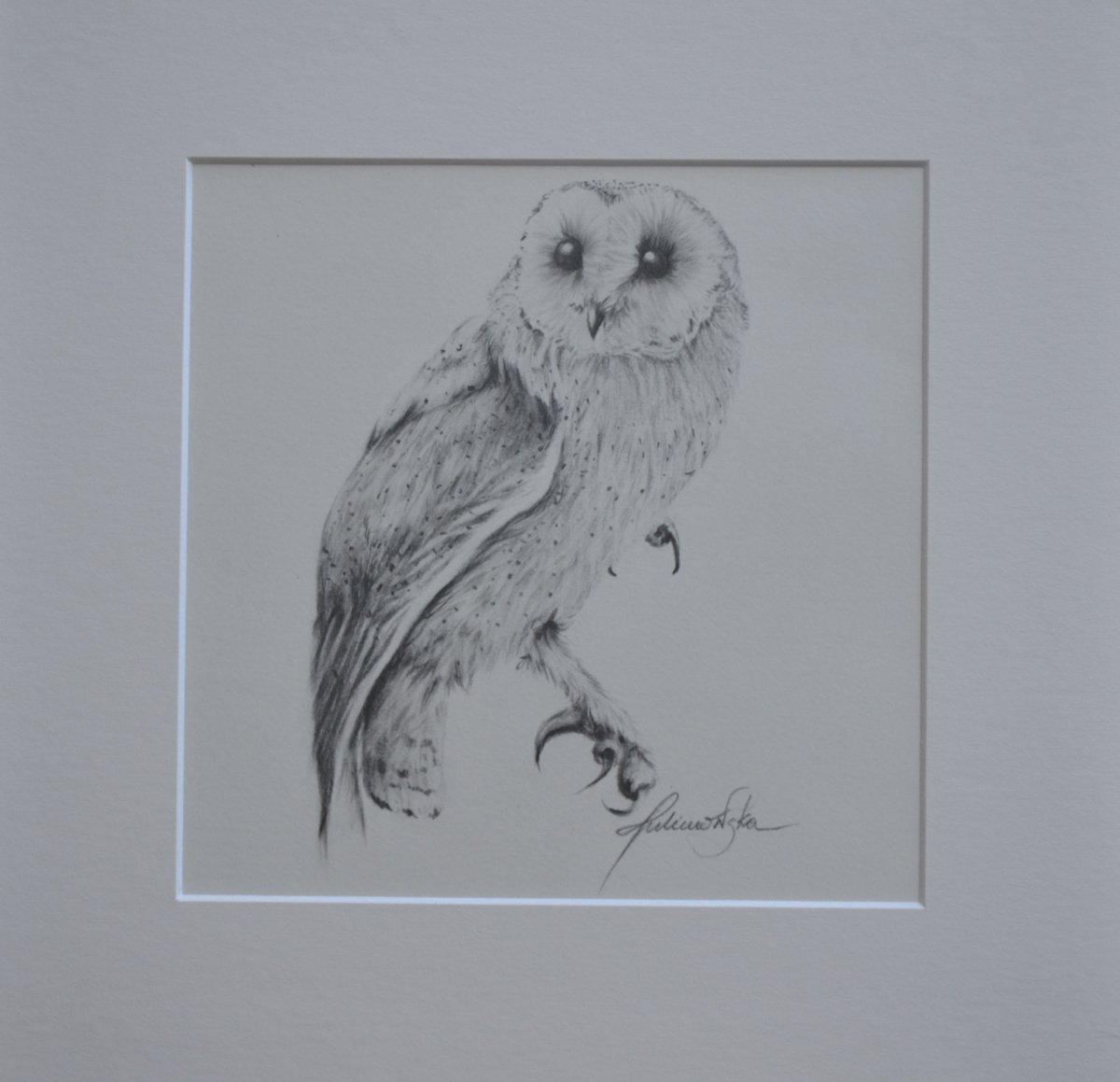 Barn Owl #3 by Maja Tulimowska - Chmielewska