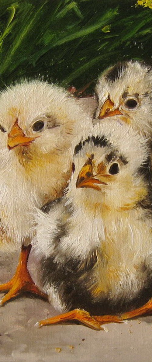 Fluffy Chicks in Sunlight by Natalia Shaykina