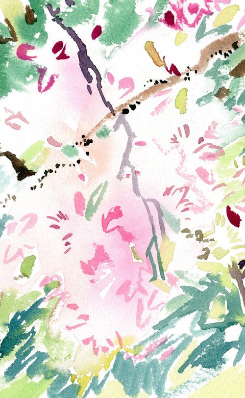 Cherry blossom by Daria Galinski