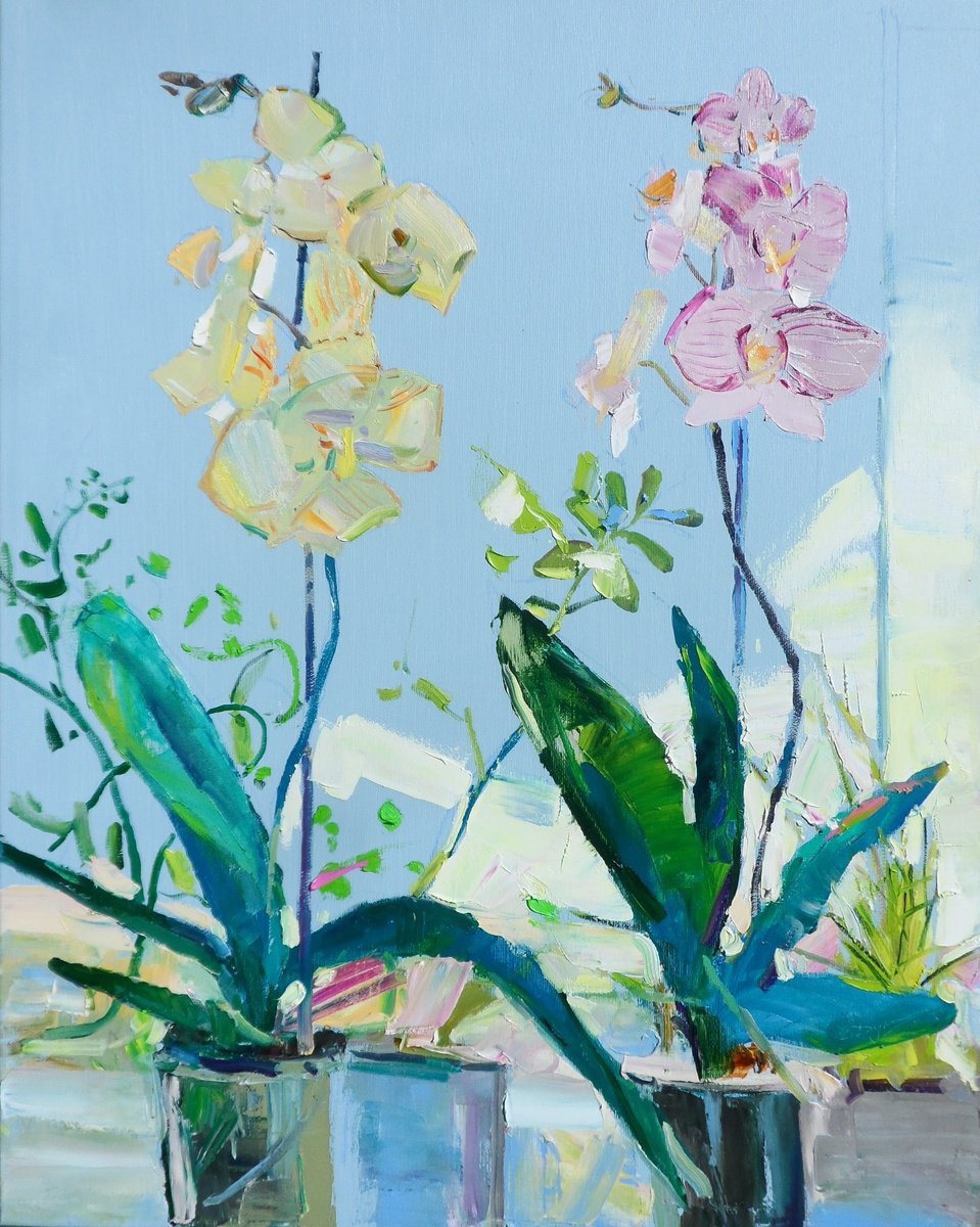 Impressionistic Botanical Oil Painting By Yehor Dulin, 24 X 30", " Phalaenopsis ", Original Artwork