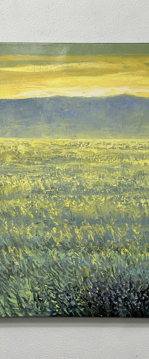 Field at Sunrise A24 40x60cm. by Tigran Mamikonyan