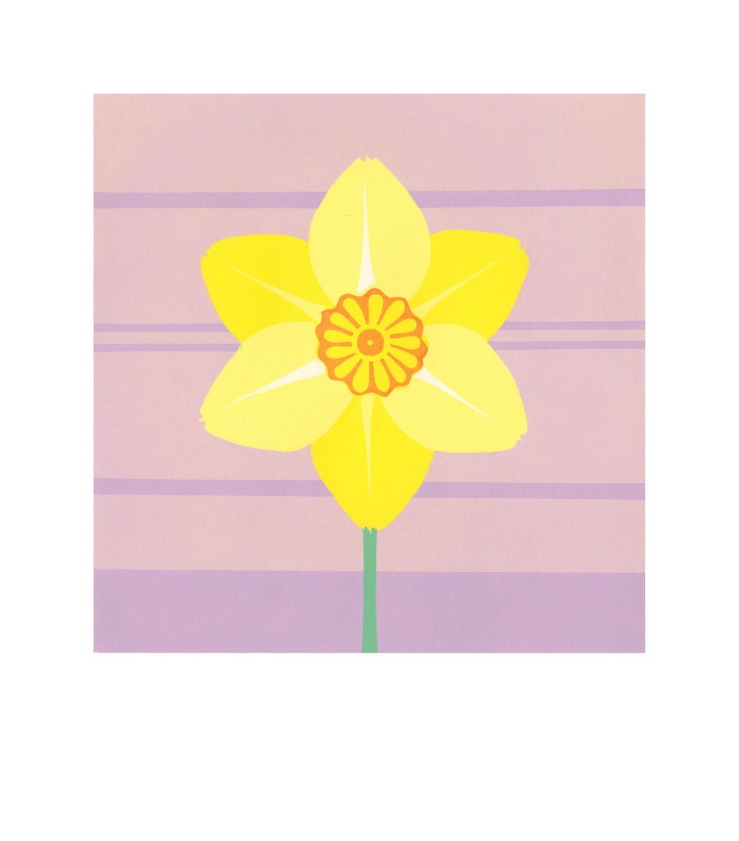Daffodil by Louise Boulton