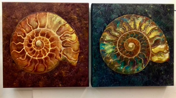 Gold and Green Ammonites