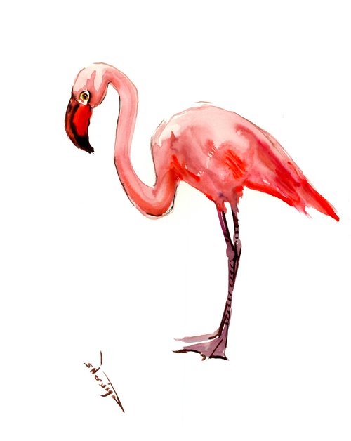 Flamingo by Suren Nersisyan