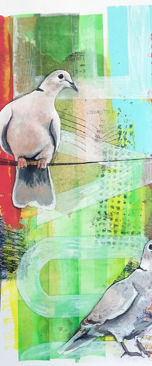 Doves by Carolynne Coulson