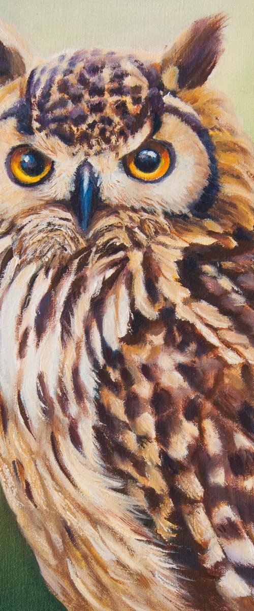 Owl 2 by Norma Beatriz Zaro