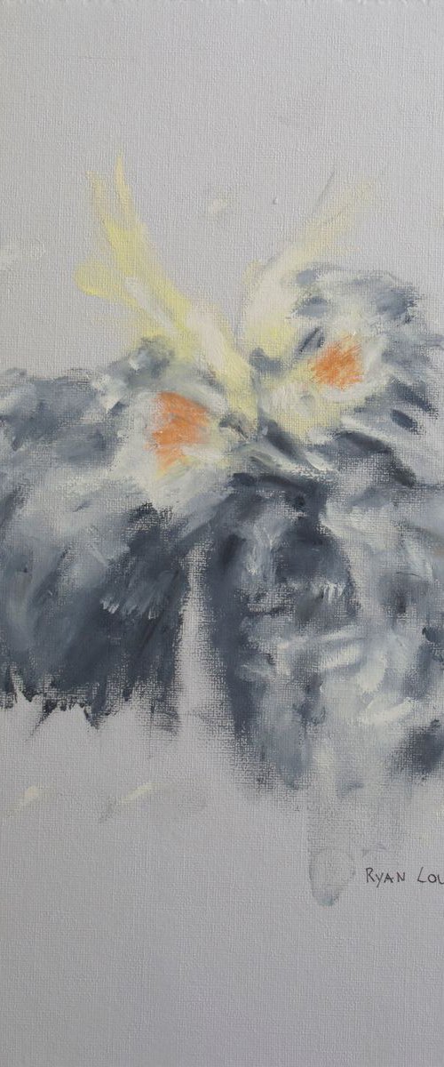 Cockatiel by Ryan  Louder