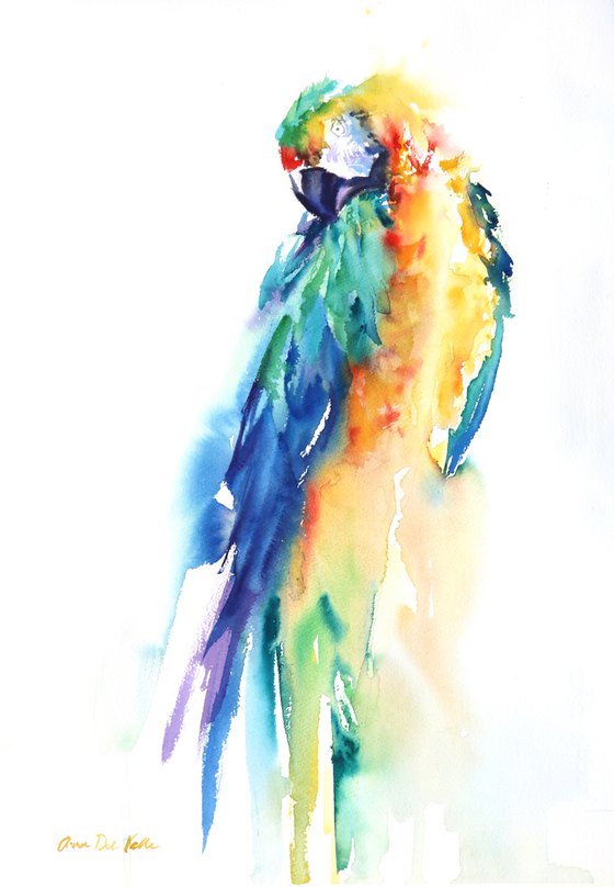 The Other Macaw
