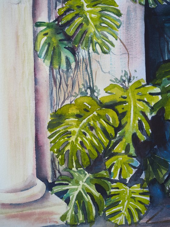 Portuguese courtyard with a monstera plant