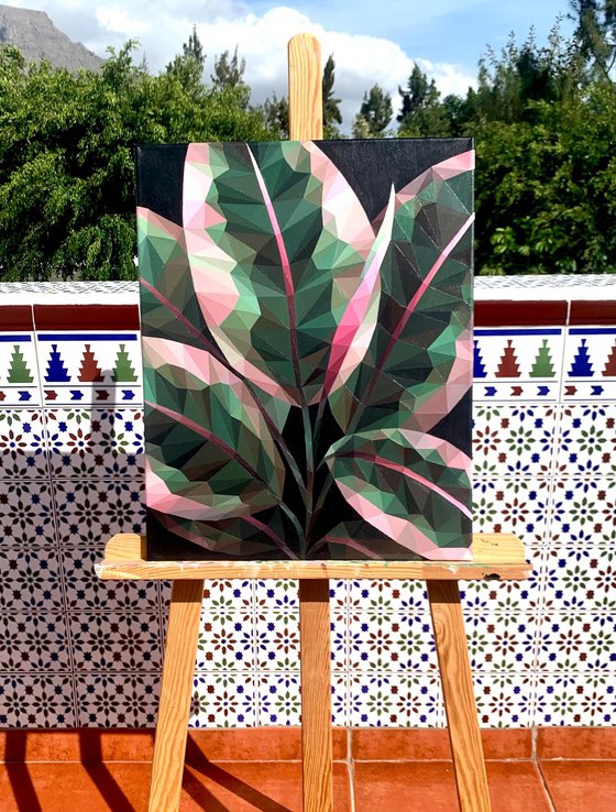 FICUS LEAVES