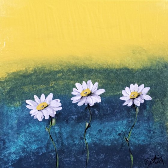 Daisies