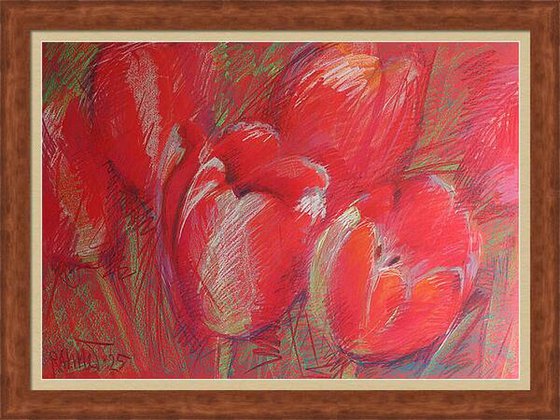 Tulips Red
