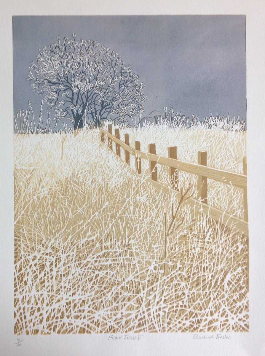 Hoar Frost II by Rosalind Forster