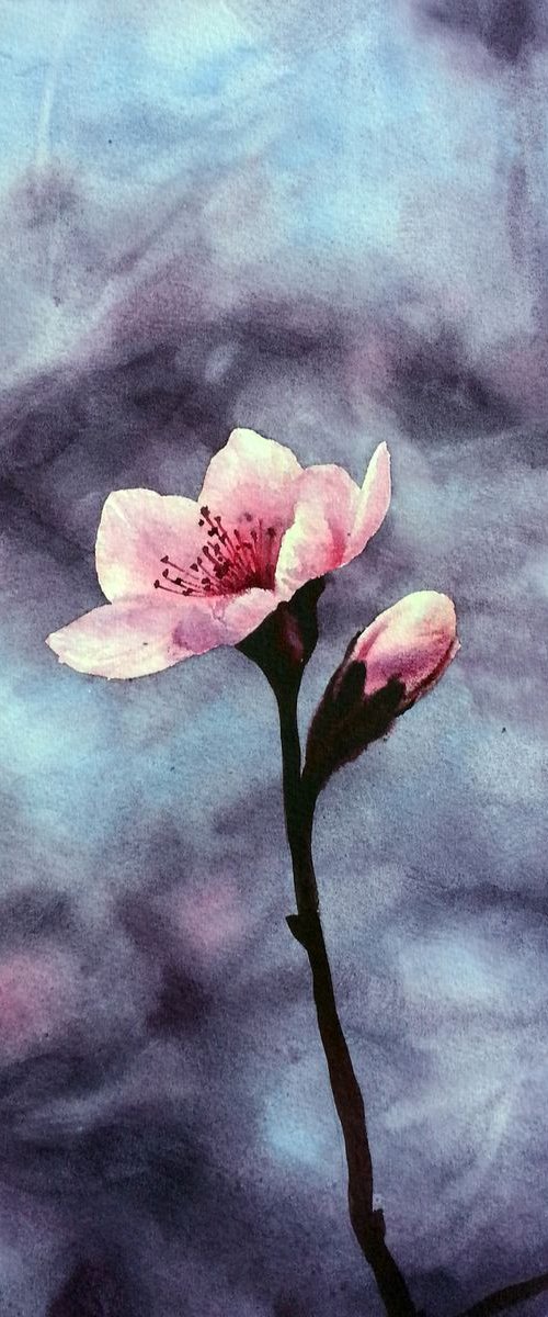 Almond Flowers - almond blosso by Olga Beliaeva Watercolour
