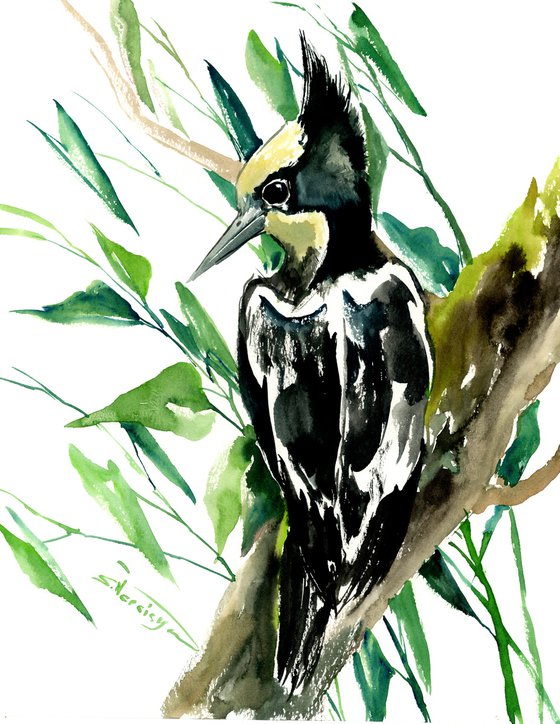 Heart Spotted Woodpecker, Original watercolor painting