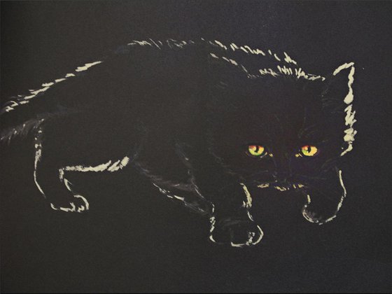 Black kitten in a dark room 2