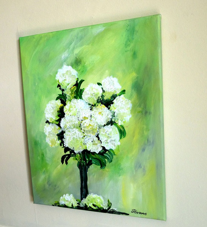 White Carnation By Graham Evans Artfinder