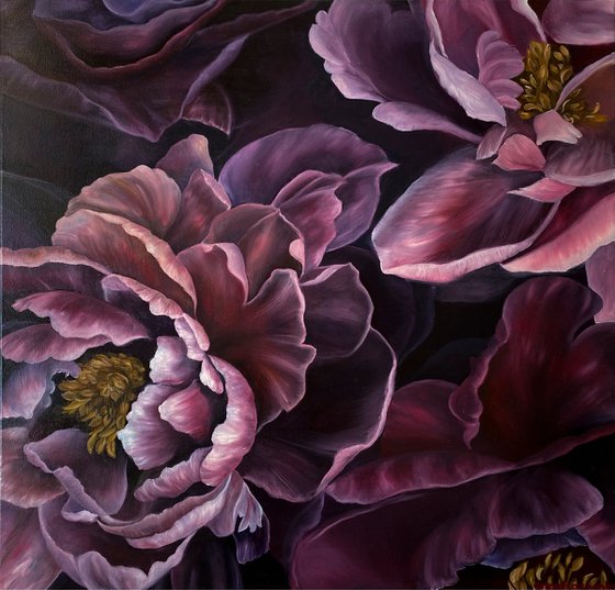 Peony Bloom
