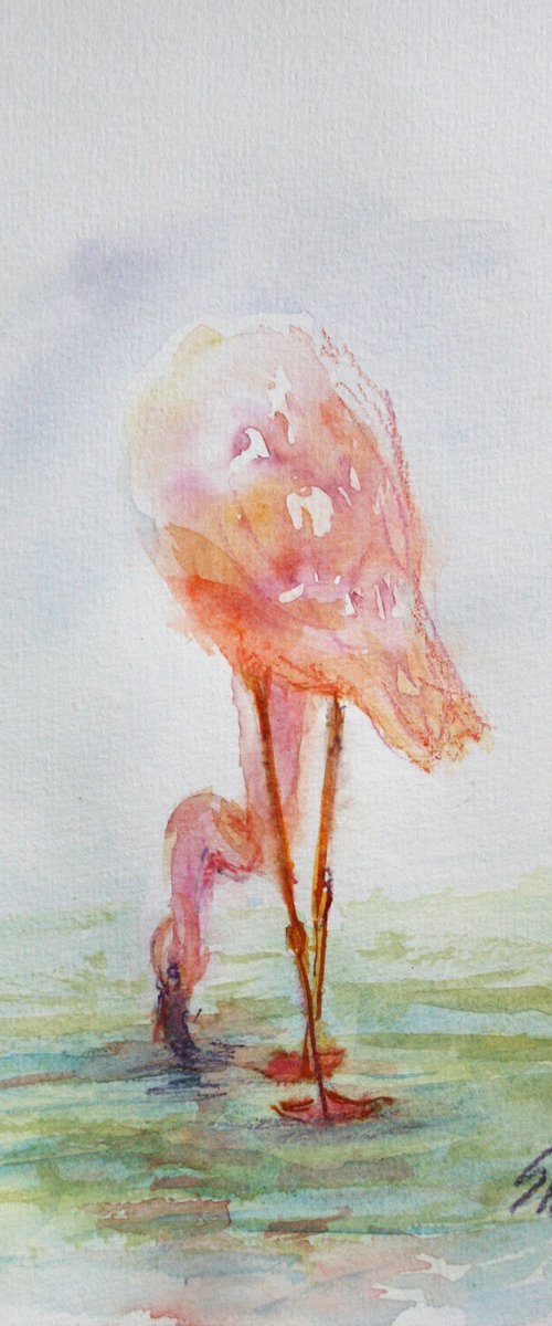 Flamingo by Salana Art