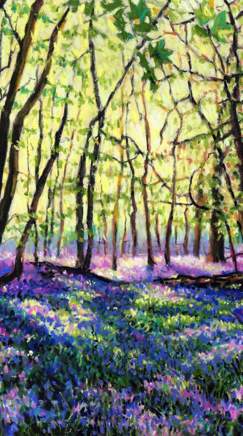 Bluebell Forest Glade by Zoe Elizabeth Norman