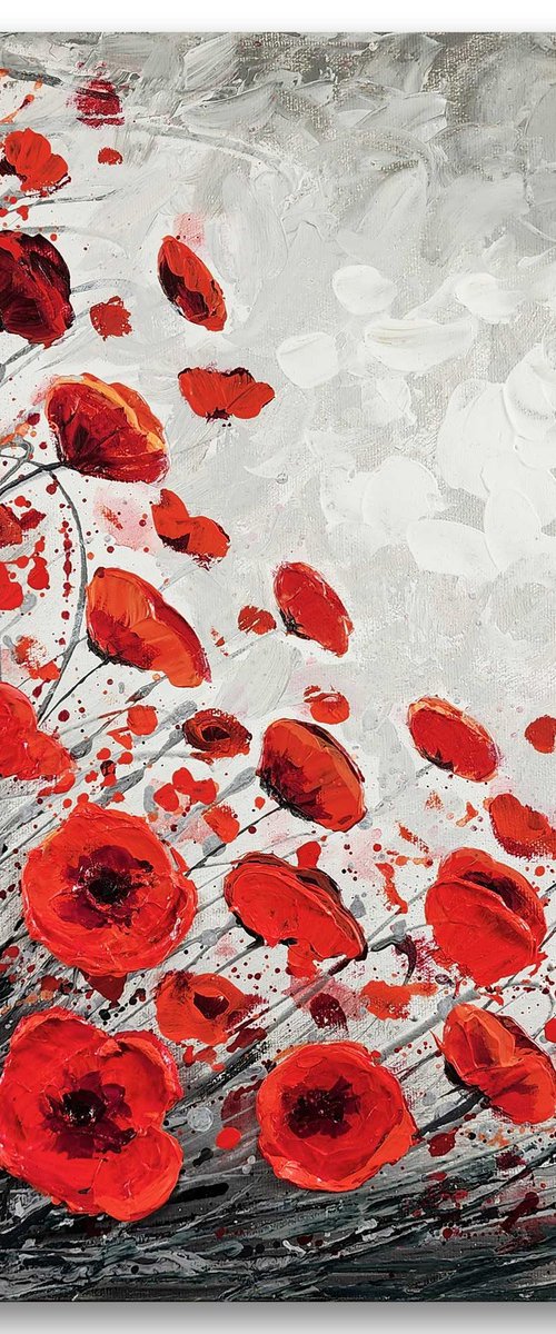 Poppy Joy by Amanda Dagg