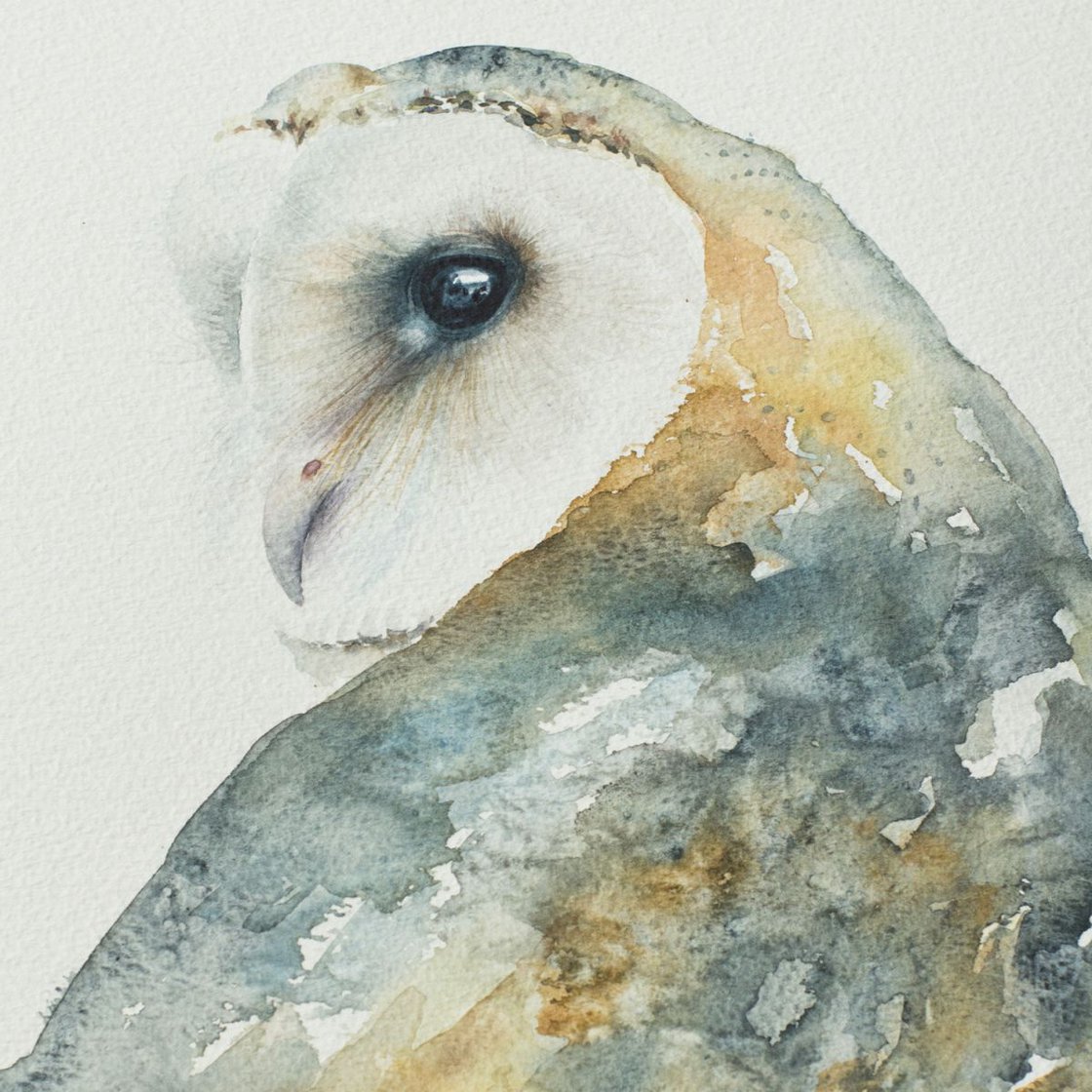 Barn owl Watercolour by Andrzej Rabiega | Artfinder