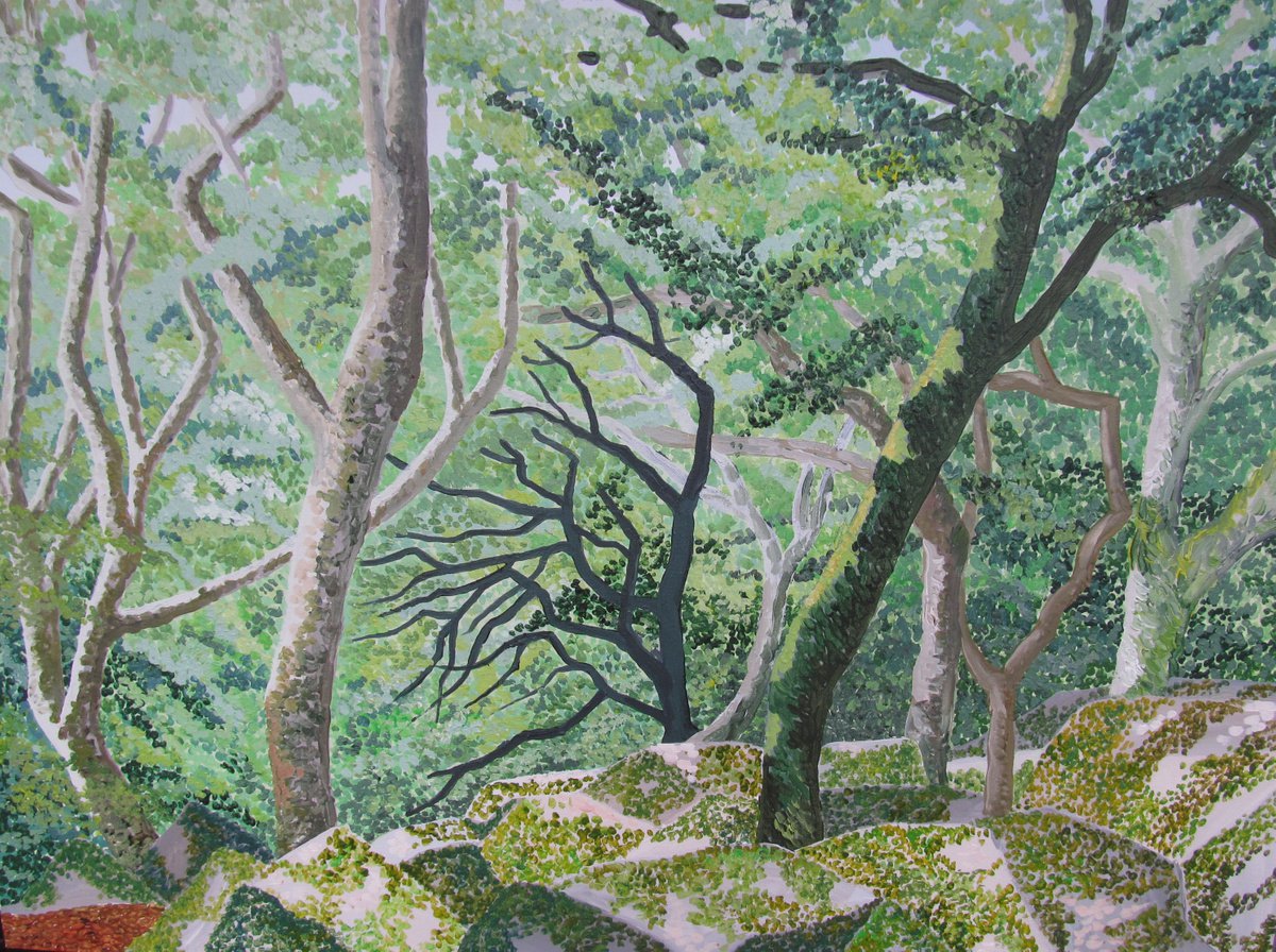 Wistmans Wood Dartmoor by gillian histon