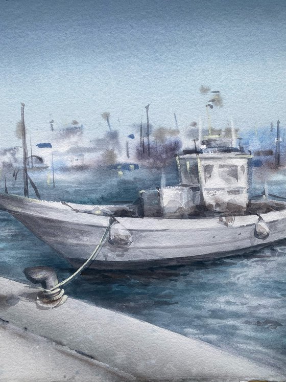 Morning harbour