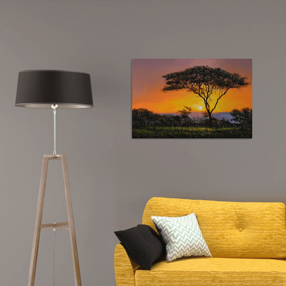 " Africa - Acacia tree " Special Price !!!