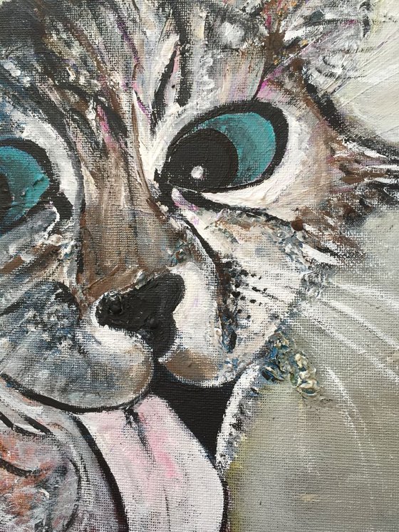 Cat II Tongue Out Acrylic on Canvas Animal Portrait Cats Small Paintings Gift Ideas Buy Art Online Art for Sale Original Paintings Cat Portraits Free Delivery
