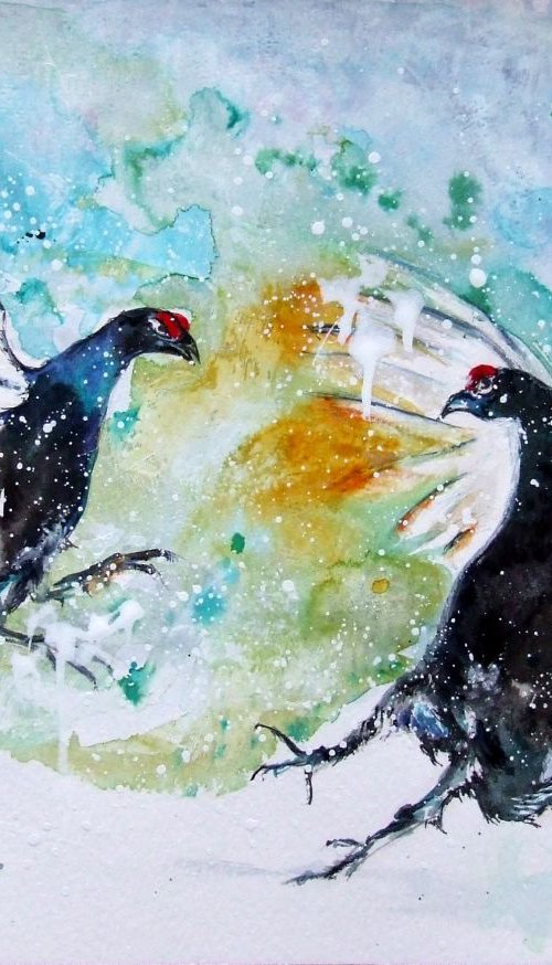 Birds fight by Anna Sidi-Yacoub