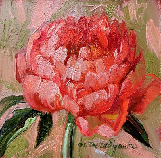 Coral peony flowers painting framed small art, Oil painting original of flowers