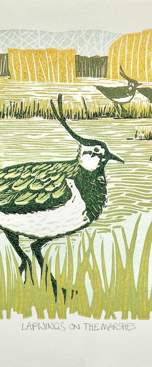 Lapwings on the Marshes by Helen Maxfield